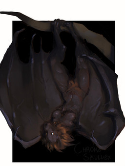 anthro big_pubes black_body breasts female hanging_by_feet membrane_(anatomy) membranous_wings navel night nightmare_fuel pubes raised_wings solo spread_wings upside_down white_eyes winged_arms wings chromeskullex werebat_(skullex) bat mammal monster hi_res