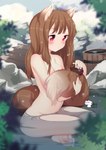 blush breasts brown_hair brushing_tail bucket container crossed_legs female hair heart_eyes heart_symbol hot_spring navel nude nude_female nude_humanoid outdoor_nudity outside personal_grooming red_eyes sitting skinny_dipping snow solo water niniidawns spice_and_wolf holo_(spice_and_wolf) animal_humanoid canid canid_humanoid canine canine_humanoid humanoid mammal mammal_humanoid wolf_humanoid 2018 absurd_res digital_media_(artwork) hi_res