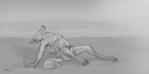 animal_genitalia anthro balls beach cloud digitigrade fur genitals male mane muscular muscular_anthro muscular_male nude nude_beach outside paws penis penis_tip pose seaside sheath simple_background sky solo sun tail blajn mythology canid canine canis mammal mythological_canine mythological_creature werecanid werecanine werecreature werewolf wolf 2:1 greyscale hi_res monochrome