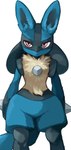 ambiguous_gender anthro blue_body blue_fur featureless_crotch fur inner_ear_fluff looking_at_viewer multicolored_body pink_eyes solo spikes spikes_(anatomy) tail tuft yellow_body yellow_fur sq_5be nintendo pokemon canid canine generation_4_pokemon lucario mammal pokemon_(species) 2025 hi_res