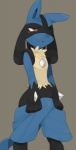 ambiguous_gender anthro biped black_body black_fur blue_body blue_fur bodily_fluids bottomwear clothing fur looking_at_viewer red_eyes shorts simple_background solo standing tail tears undressing yellow_body yellow_fur agemono nintendo pokemon canid canine generation_4_pokemon lucario mammal pokemon_(species)