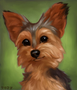 big_pupils black_nose brown_body brown_eyes brown_fur feral fur green_background grey_body grey_fur multicolored_body multicolored_fur pupils simple_background solo tan_body tan_fur alexpahomov canid canine canis domestic_dog hunting_dog mammal terrier yorkshire_terrier 2022 digital_media_(artwork) digital_painting_(artwork) hi_res painting_(artwork)