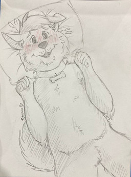 blush fluffy food master overweight slightly_chubby tigoona shibe tedi canid canine canis domestic_dog husky mammal nordic_sled_dog spitz graphite_(artwork) hi_res traditional_media_(artwork)