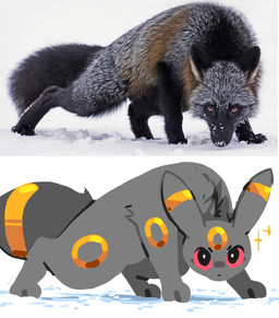 4_legs ambiguous_gender back_tuft biped bipedal_feral black_body black_eyes black_fur detailed_fur feral fur looking_at_viewer looking_up lowered_head multicolored_body multicolored_ears multicolored_fur on_ground paws photo_background pounce_pose red_eyes red_sclera snow solo sparkles tuft tufted_fur yellow_body yellow_fur sutihukka nintendo pokemon canid canine eeveelution fox generation_2_pokemon mammal pokemon_(species) red_fox silver_fox true_fox umbreon 2026 absurd_res detailed digital_media_(artwork) digital_painting_(artwork) hi_res mixed_media painting_(artwork) photography_(artwork) reference_image