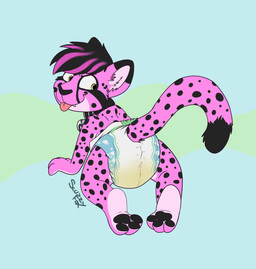all_fours anthro bell bell_collar bodily_fluids clothed clothing collar diaper genital_fluids male solo unclean_diaper urine used_diaper wearing_diaper wet_diaper young young_anthro scuzzyfox kotanu cheetah felid feline mammal absurd_res hi_res