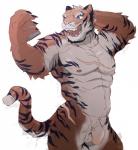 abs anthro balls biceps biped eyebrow_barbell eyebrow_piercing facial_piercing flaccid fur genitals hair male muscular muscular_anthro muscular_male nipples nude pecs penis piercing scar solo cuson felid mammal pantherine tiger 2018 digital_media_(artwork) hi_res