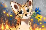 ambiguous_gender blue_eyes bodily_fluids crying day detailed_background feral fire flower outside plant politics quadruped raining solo tears ukraine flashw russo-ukrainian_war felid feline mammal serval 2022 digital_media_(artwork) digital_painting_(artwork)