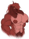 abs anthro areola biceps big_muscles big_pecs floppy_ears fur hair huge_pecs looking_at_viewer male muscular muscular_anthro muscular_male nipples nude pecs pubes red_body red_fur simple_background solo tail yellow_eyes dalemdaury622 canid canine canis domestic_dog mammal