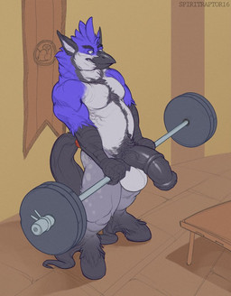 animal_genitalia animal_penis anthro balls beak belly biceps big_penis biped blue_eyes blue_hair body_hair chest_hair equine_genitalia equine_penis erection exercise forearms front_view genitals hair hairy happy_trail holding_object hooves huge_penis male manly mature_anthro mature_male medial_ring musclegut muscular muscular_anthro muscular_male nude pecs penis pose pubes relaxing scaled_forearms scales simple_background solo standing tail thick_penis vein veiny_penis weights workout spiritraptor european_mythology greek_mythology mythology borealis_(nephisdragon) avian bird blue_jay corvid equid equine hippogriff horse hybrid jay_(bird) mammal mythological_avian mythological_creature new_world_jay oscine passerine 2016