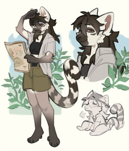 anthro armor breath brown_hair clothing crop_top exhausted female hair headgear helmet looking_down map pith_helmet safari_outfit safari_shirt shirt smile smug smug_face topwear kofenepei fifehezana_mafy lemur mammal primate ring-tailed_lemur strepsirrhine hi_res