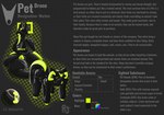 bdsm bitchsuit bondage bondage_gear bound breasts chastity_cage chastity_device collar_tag drone female gag gagged handle_bar latex null_bulge petplay profanity roleplay text tongue tongue_out rubberjett rubbersolutions absurd_res english_text hi_res