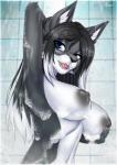 anthro areola black_body black_fur black_hair black_nose breasts eyebrows eyelashes female fur hair nipples open_mouth shower solo standing teeth tongue amur canid canine canis mammal wolf 2019 hi_res