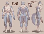 anthro big_penis blue_body blue_skin butt chest_tuft fluffy fluffy_tail fur genitals glistening glistening_body glistening_butt glistening_fur huge_penis hyper hyper_genitalia hyper_penis male multicolored_body multicolored_butt multicolored_fur muscular muscular_male penis rear_view side_view simple_background simple_eyes solo tail tuft two_tone_body two_tone_butt two_tone_fur vein veiny_penis white_body white_fur jojobiz palette_(character) canid canine canis mammal wolf himbo 2021 absurd_res digital_drawing_(artwork) digital_media_(artwork) digital_painting_(artwork) hi_res model_sheet shaded soft_shading widescreen