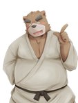 anthro blush bodily_fluids brown_body brown_fur clothed clothing fur humanoid_hands kemono male overweight overweight_anthro overweight_male simple_background solo sweat white_background emufu bear mammal 2014 3:4 hi_res