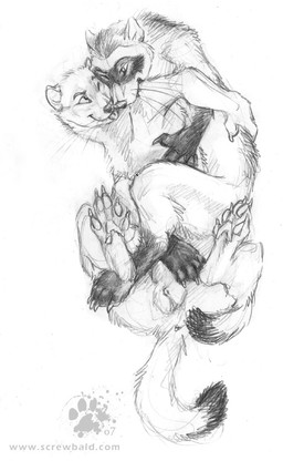 anthro bite blep claws cuddling duo eye_contact finger_claws fur genitals looking_at_another male nude nude_anthro nude_male pawpads paws romantic romantic_couple simple_background toe_claws tongue tongue_out whiskers white_background blotch scratches_volume_1 gulonine mammal marten mustelid musteline procyonid raccoon 2007 hi_res monochrome sketch traditional_media_(artwork)