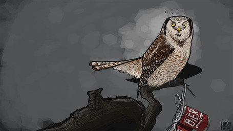 alcohol ambiguous_gender beak beer beverage drunk feathers feral food outside solo substance_intoxication wood bombird avian bird owl 2012