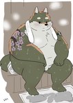 anthro belly big_belly black_eyes black_nose blush bodily_fluids dot_eyes humanoid_hands kemono male moobs overweight overweight_male sauna sitting solo steam sweat towel towel_around_neck uokkom canid canine mammal 2022 hi_res