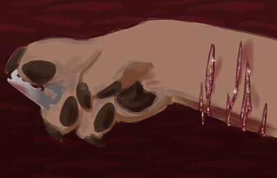 ambiguous_gender anthro blade blood blood_on_body bloody_blade bloody_razor bodily_fluids brown_body brown_fur claws cutting_self fur glistening_blood gore razor_blade red_background self-harm simple_background solo sparkles wounded curious_coyote ambiguous_species humanoid digital_media_(artwork) hi_res