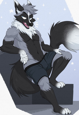 anthro black_body black_boxer_briefs black_clothing black_fur black_underwear blue_eyes boxer_briefs clothing fangs fur grey_body grey_fur male neck_tuft open_mouth solo spotted_paws tail teeth tongue tuft underwear isaacyote aske_(tsarfox64) canid canine fox mammal red_fox silver_fox true_fox 2025 absurd_res hi_res