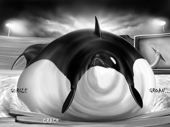 ambiguous_gender bodily_noises cracking different_sound_effects feral inflation morbidly_obese obese onomatopoeia overweight resting_on_belly rumbling_stomach solo sound_effects text water meanybeany aquatic cetacean dolphin mammal oceanic_dolphin orca toothed_whale 4:3 greyscale hi_res monochrome