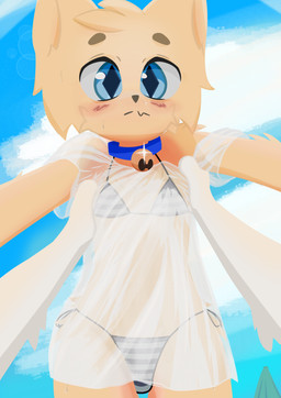 anthro beach bell bikini bikini_bottom bikini_top bodily_fluids clothing collar kemono male shota solo sweat sweatdrop swimwear translucent translucent_clothing two-piece_swimsuit young kecuxa canid canine fox mammal absurd_res hi_res