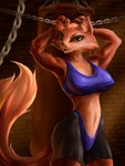 anthro black_nose clothed clothing female fur green_eyes hair navel nipple_outline open_mouth orange_body orange_fur punching_bag shirt solo tank_top topwear sharkdark brutal_paws_of_fury foxy_roxy canid canine fox mammal 3:4 hi_res