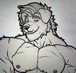 anthro barazoku fangs hair half-closed_eyes male male/male muscular muscular_male narrowed_eyes nipples solo teeth cl.rudolph mythology garth_mentzel_monroe canid canine mammal mythological_canine mythological_creature werecanid werecanine werecreature werewolf absurd_res hi_res