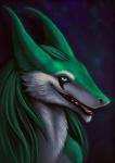 ambiguous_gender anthro fur green_body green_eyes green_fur green_hair hair long_hair nude open_mouth smile solo teeth tongue white_body white_fur shiroashi excidium sergal 2017 bust_portrait portrait