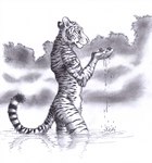 0laffson 2023 anthro clothing felid fur graphite_(artwork) hi_res looking_down male mammal markings monochrome nude outside pantherine partially_submerged pawpads pencil_(artwork) plant reflection signature solo standing standing_in_water striped_body striped_fur striped_markings striped_tail stripes tail tail_markings tiger traditional_media_(artwork) water water_drop wet wet_body wet_fur