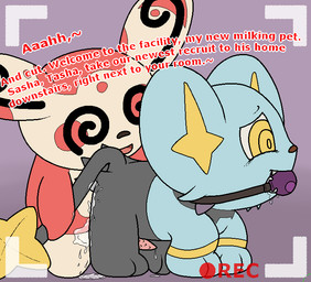 anal anal_penetration ball_gag bdsm bodily_fluids bondage bound butt cum cum_drip cum_in_ass cum_inside cum_on_butt cum_while_penetrated cumshot dialogue dominant dominant_male dripping duo ejaculation erection feral gag genital_fluids genitals hands-free male male/male male_penetrated male_penetrating male_penetrating_male nude orgasm penetration penile_spines penis recording sex simple_background spiral spiral_eyes submissive submissive_male text voyeur booklesslibrary nintendo pokemon generation_3_pokemon generation_4_pokemon mammal pokemon_(species) shinx spinda 2017 aliasing digital_media_(artwork) english_text