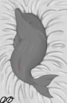 bed female feral furniture genitals grey_body grey_skin on_bed pussy solo orcaxdragon cetacean dolphin mammal marine oceanic_dolphin toothed_whale absurd_res hi_res