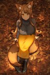 autumn big_breasts big_tail bird's-eye_view bottomwear breasts brown_eyes brown_hair clothed clothing day detailed_background female footwear fully_clothed hair high-angle_view inner_ear_fluff leaf legwear light light_body light_skin long_hair looking_at_viewer outside shirt shoes sitting sitting_on_tail skirt smile solo tail topwear tuft mog_(artist) animal_humanoid canid canid_humanoid canine canine_humanoid fox_humanoid humanoid mammal mammal_humanoid hi_res