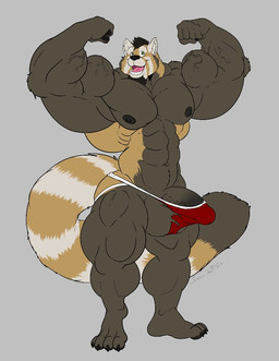 4_toes 5_fingers abs anthro balls beard biceps big_balls big_muscles big_penis biped black_nipples black_nose brown_body brown_fur brown_hair brown_nipples clothing facial_hair feet fingers flexing fur genitals green_eyes hair huge_balls huge_muscles huge_penis male multicolored_body multicolored_fur muscular muscular_anthro muscular_male nipples pecs penis plantigrade red_body red_fur simple_background smile solo standing toes torn_clothing underwear vein veiny_muscles veiny_penis white_body white_fur siriusdog crumble_(character) ailurid mammal red_panda 2015