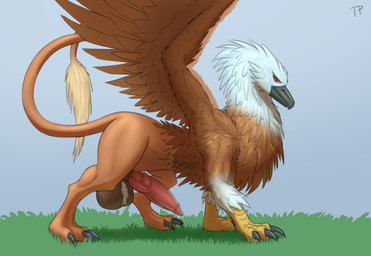 ball_tuft balls big_balls big_penis feral genitals grass knot male nude penis plant solo standing tuft testowepiwko heroes_of_might_and_magic heroes_of_might_and_magic_5 might_and_magic mythology ubisoft avian gryphon mythological_avian mythological_creature hi_res