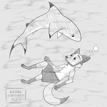 1:1 anthro canid canine disney diving duo fish fox hatakeclarissarts hi_res male male/male mammal marine nick_wilde shark snorkel water zootopia