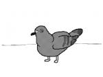 ambiguous_gender feathers feral flying grey_body grey_feathers helicopter_head humor real solo spinning text toony what keke_(artist) avian bird columbid pigeon 2d_animation 4:3 animated animated_comic comic digital_media_(artwork) english_text flipnote_studio_(artwork) frame_by_frame low_res photography_(artwork) short_playtime