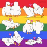 anthro beak duo feathers feet fist heart_symbol lgbt_pride monotone_body monotone_feathers nude orange_beak orange_feet pecs pride_colors tail white_body white_feathers white_tail cwitchy anatid anseriform avian bird duck 1:1 2024 hi_res signature