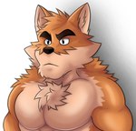 anthro arm_tuft chest_tuft eyebrows facial_tuft fur head_tuft male multicolored_body multicolored_fur muscular muscular_anthro muscular_male pecs serious_face shoulder_tuft simple_background solo tuft two_tone_body two_tone_fur rjquaty otake canid canine canis domestic_dog mammal hi_res