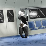 anthro butt clothed clothing feces fur hair inside_train panties public public_transportation scatplay soiling soiling_underwear solo tail train underwear vehicle mintyskunk lagomorph leporid mammal rabbit 1:1 2022 digital_media_(artwork) hi_res