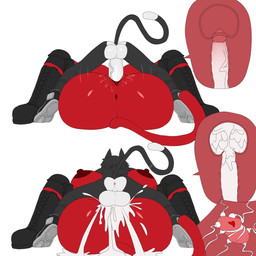 abs accessory anal anthro belt big_breasts big_butt big_penis black_body black_fur bodily_fluids breasts butt camo canvas_shoes clothing cum cum_drip cum_inside dripping duo erect_nipples female footwear from_front_position fur genital_fluids genitals hair hair_accessory hairclip handwear impregnation larger_female lucker male male/female mating_press multicolored_body muscular muscular_female nipples panties penetration penis red_body sex shoes simple_background size_difference small_but_hung smaller_male sperm_cell thick_thighs topwear two_tone_body underwear vaginal vaginal_penetration white_body x-ray_view yellow_eyes 9live instant_loss_2koma kyu_(9live) domestic_cat felid feline felis mammal hi_res