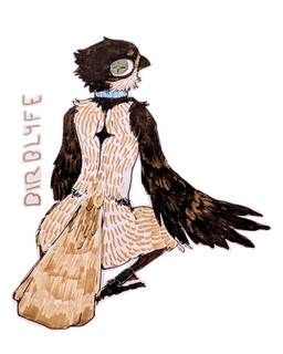 anthro avian_feet beak black_beak black_head black_wings collar crouching feathers legband looking_at_viewer looking_back looking_back_at_viewer male solo tail tail_feathers text text_on_collar wings birblyfe birdie_(canadabirdie) avian bird black-capped_chickadee chickadee oscine passerine tit_(bird) 4:5 hi_res