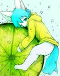 ambiguous_gender anthro black_nose blue_hair blue_tail bottomless bubble clothed clothing fluffy food forlorn fruit glistening glistening_eyes hair hoodie hug inner_ear_fluff kemono lime looking_at_viewer narrowed_eyes plant solo tail topwear tuft white_body white_inner_ear_fluff yellow_clothing yellow_hoodie yellow_topwear young young_anthro naegi teru_(naegi) canid canine fox mammal 2019 absurd_res digital_media_(artwork) digital_painting_(artwork) hi_res unavailable_at_source