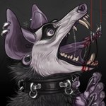 ambiguous_gender anthro black_collar blood blood_in_mouth blood_on_chin blood_on_tongue blood_string bodily_fluids cheek_tuft claws collar ear_piercing ear_ring ear_stud facial_tuft finger_claws fish_hook fur gauged_ear glistening glistening_eyes gore grey_body grey_fur hook logo neck_tuft open_mouth pain piercing purple_body purple_eyes purple_nose purple_tongue ring_piercing saliva saliva_string side_view simple_background solo tongue tongue_out torture tuft white_body white_fur riorix 1:1 2018 artist_logo dated hi_res