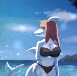 anthro arm_under_breasts big_breasts bikini biped black_bikini black_clothing black_swimwear blue_body blue_scales breasts brown_hair clothed clothed_anthro clothed_female clothing cloud day female fin front_view hair hair_over_eyes head_turned long_hair long_tail looking_aside midriff mountain navel non-mammal_breasts outside scales smile solo standing swimwear tail two-piece_swimsuit water sharkidly betta_(sharkidly) aquatic fish shark 2025 colored half-length_portrait portrait shaded