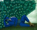 animal_genitalia anthro feathers genital_slit genitals grass lying_on_ground male nude on_ground plant simple_background smug solo speedpaint yenocwolf birdtember avian bird galliform indian_peafowl peafowl phasianid 5:4 absurd_res hi_res