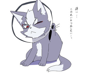 :< black_pawpads chibi cone_of_shame eyebrows feet feral feralized fur grey_body grey_fur hindpaw kemono male medical_instrument pawpads paws red_eyes ruff_(clothing) scientific_instrument text white_body white_fur sing_coffee nintendo star_fox wolf_o'donnell canid canine canis domestic_dog mammal hi_res japanese_text translated