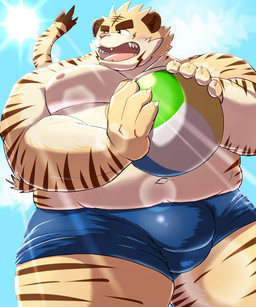anthro ball belly big_belly blush bulge clothing detailed_bulge humanoid_hands kemono male moobs navel nipples outside overweight overweight_male pink_nose solo sun swimwear mohumohudansi felid mammal pantherine tiger 2022 5:6 hi_res