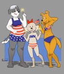 american_flag american_flag_bikini anthro bikini biped black_body black_nose breasts brown_body clothed clothing countershade_face countershade_torso countershading digitigrade dot_eyes female flag flag_(object) flag_bikini floppy_ears fluffy_ears front_view group hand_behind_head holding_flag holding_object holidays looking_at_viewer medium_breasts midriff multicolored_body navel one-piece_swimsuit open_mouth open_smile simple_background smile sparkler standing swimwear trio two-piece_swimsuit two_tone_body united_states_of_america white_body white_countershading young young_anthro young_female nanuna 4th_of_july pups_of_liberty anne_kennel collie_pitcher debruff_sampson bird_dog canid canine canis cocker_spaniel collie domestic_dog herding_dog hunting_dog mammal pastoral_dog sheepdog spaniel 2024 hi_res