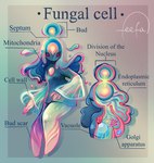 biped cell_nucleus endoplasmic_reticulum female golgi_apparatus mitochondria not_furry organelle pseudo_hair solo text feefal cell_(organism) cell_humanoid humanoid english_text hi_res