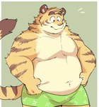 anthro belly big_belly clothing humanoid_hands kemono male moobs overweight overweight_male simple_background solo underwear ginnosuke felid mammal pantherine tiger 2023 hi_res